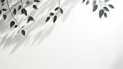 Aufkleber - Abstract silhouette shadow overlay white background of natural leaves tree branch falling on wall. Transparent blurred focus shadows leaf in morning sun light. Copy space for text.
