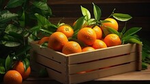 Fresh Mandarin Oranges Fruit Or Tangerines With Leaves In A Box On Wooden Background