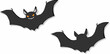 Bats are mammals of the order Chiroptera . With their forelimbs adapted as wings, they are the only mammals capable of true and sustained flight