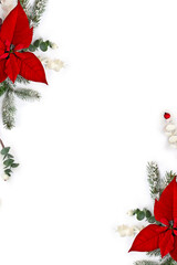 christmas decoration. flower of red orange poinsettia, branch christmas tree, berries mistletoe, red
