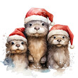 Three Christmas Otter Wearing Santa Hat Transparent Watercolor Png