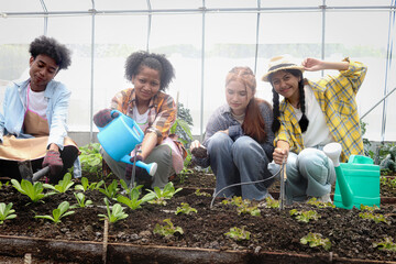 Wall Mural - Group of happy Multiethnic teenager friend working in vegetable farm together, smiling young diverse farmer watering, shoveling soil, weeding and caring plants. People working in agricultural field.