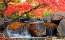Waterfall Cascading Down A Rocky Landscape With Autumn Trees