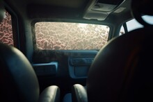 3D-rendered bacteria near air vents in vehicle. Generative AI