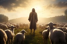 Shepherd Jesus Christ Leading Sheep In A Field.
