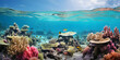 coraux multicolores dans un mer transparente et turquoise