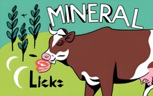 Cow Mineral Licks - Generative AI