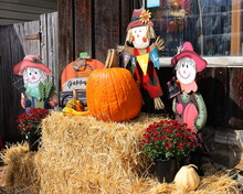 Colorful Fall Autumn Decorations Dolls Flowers And Hay. 