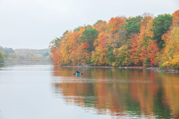 Wall Mural - lone fisherman in a kayak fishes near trees in beautiful autumn color on a calm overcast day