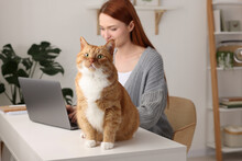 Woman Working With Laptop At Desk. Cute Cat Sitting Near Owner At Home, Selective Focus