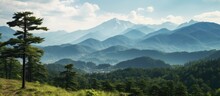 Japanese mountain landscape seen through the lens of forestry With copyspace for text