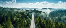Longest footbridge in Czech forest Dolni Morava With copyspace for text