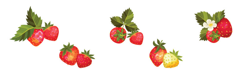 Wall Mural - Sweet Strawberry Red Fruit Branch with Green Leaf and Stem Vector Set