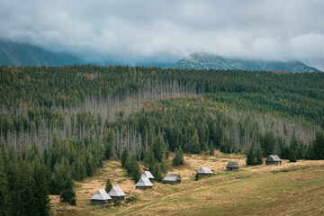 Sticker - Old cabins at Kopieniec Wielki in Zakopane, Poland