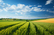 Beautiful natural landscape with green grass, golden wheat fields harvested with bales. Bright blue sky with white clouds. Colorful summer panorama with a combination of yellow and green fields.