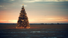 The Illuminated Christmas Tree In A Landscape At Sunset