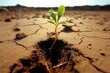 Sprouting in arid ground, symbolizing freshness. Generative AI