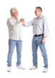 © Pixel-Shot - Mature brothers holding hands on white background