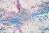 Fototapeta  - Showing Light micrograph Type of Tissue Human under the microscope in Lab.