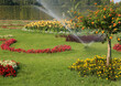 watering system for flowering trees and flowers in flowerbeds in summer