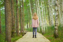 Young Adult Woman Walking On Wooden Trail At Birch Tree Forest In Beautiful Autumn Day. Spending Time Alone And Enjoying Freedom At Nature. Back View. Peaceful Atmosphere In Nature.