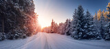 Fototapeta Natura - Beautiful winter road in natural sunny park.