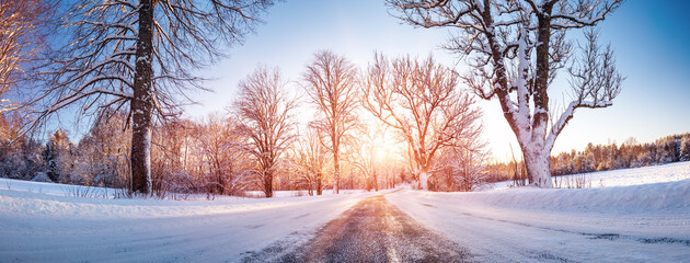 Wall Mural - Beautiful winter road in natural sunny park.