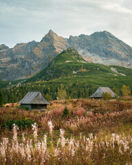 Canvas Print - View of the Tatra Mountains and huts at Dolina Gąsienicowa, in Zakopane, Poland