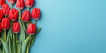 Holiday Banner With Red Tulips. Spring Flowers On Blue Background With Copy Space. Greeting Card For Valentine's Day, Woman's Day And Mother's Day Holidays. Flat Lay, Banner Size