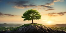 Panorama Small Tree Growing With Sunrise. Green World And Earth Day Concept