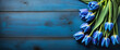 Blue Tulips composition with blue painted wood background and copy space. Ideal concept for Valentines Day, Women's Day, Mother's Day, weddings