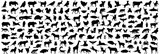 Fototapeta  - Animal silhouette collection. Set of black animal silhouette. Animal icons. Mammal, fish, insects, birds, reptiles silhouette collection. Wild, domestic animals icons