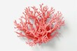 Pink coral on white background. Ocean, summer, beach, diving, vacation design. Top view. Generative AI