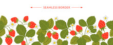 Strawberry Vector Seamless Border. Sweet Red Berries, White Flowers, Leaves Isolated On White. Summer Berry Fruits Horizontal Background. Hand Drawn Cartoon Wild Woodland Strawberry Illustration