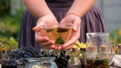 Wall Mural - Woman and herbs and dried flowers alternative medicine and medicinal tea. Selective focus.