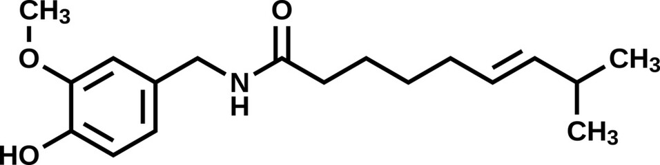 Wall Mural - Capsaicin structural formula, vector illustration