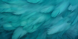 Fototapeta  - Turquoise textured feather close up background 