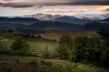 Landscape In The Vineyards During Spring In The Priorat Appellation Region In Catalonia In Spain