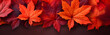 canvas print picture - Autumn maple leaves on banner background