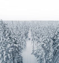Aerial View Of A Car On Cold Winterday Driving In A Snowy Pine Forest, Lahemaa National Park, Harjumaa, Estonia.
