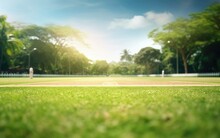 Ground With Cricket Pitch