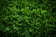 Faux green grass creates a versatile backdrop for textures and designs