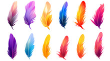 Set Of Colorful Feathers On A White Background