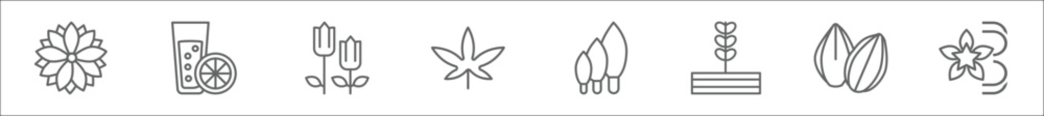 Wall Mural - outline set of nature line icons. linear vector icons such as astrantia, lemon and juice drop out, tulip, cannabis, cypress, plant growing on book, almond, vanilla