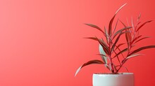  A Plant In A White Pot On A Red Background With A Red Wall.  Generative Ai