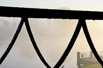 Autumn morning. Spider web on the forged fence of the bridge over the river