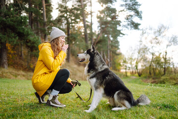 Wall Mural - Happy woman with her husky is walking in a green meadow, having fun. The owner of the pet spends time together. Concept of friendship, vacation, walk.