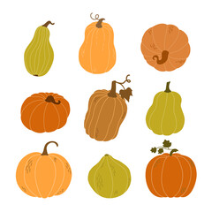 Wall Mural - A set of pumpkins in various shapes. Vector collection of cute hand drawn pumpkins on white background.