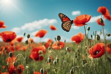 Beautiful Red Poppy Flowers And A Monarch Butterfly Amidst The Splendor Of Spring And Summer, Under The Warm Embrace Of A Sunny Day