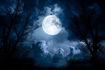 Wall Mural - night sky with moon and dramatic trees. dramatic clouds in mystic moonlight. large bright moon as co